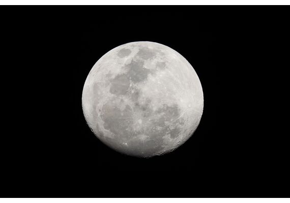 CANON ​RF 200-800mm F6.3-9 IS USM